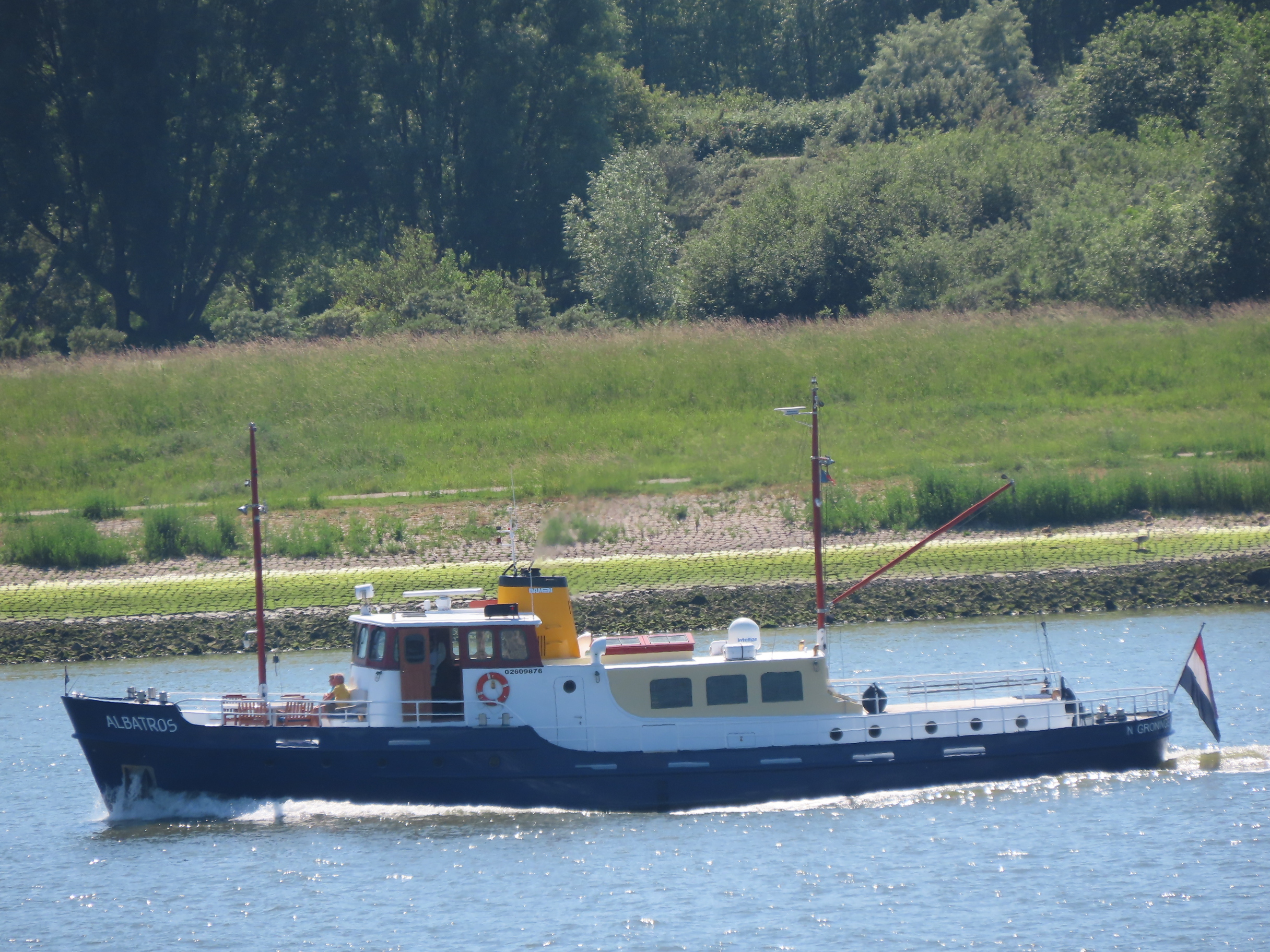 albatros.JPG