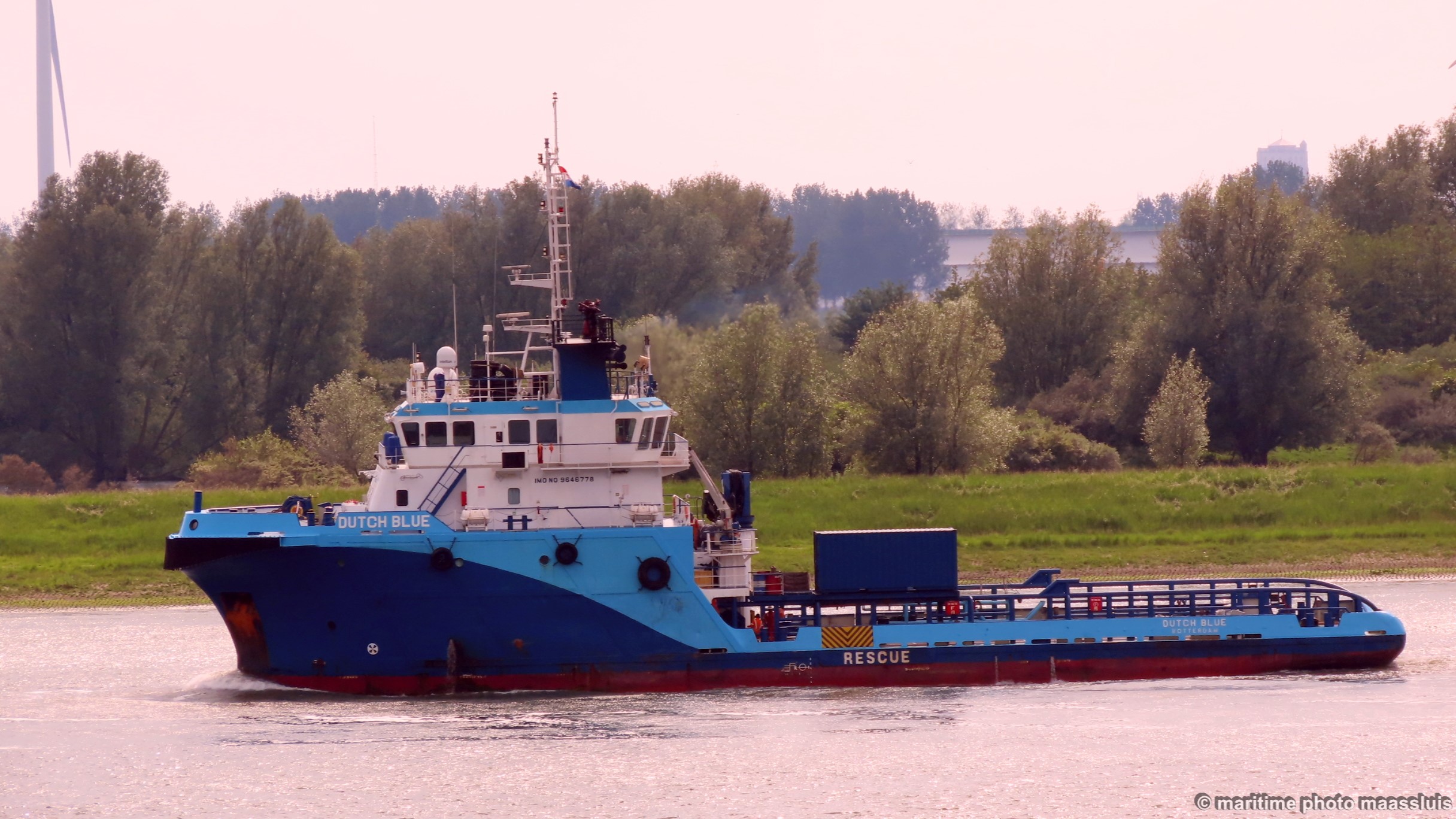 dutchblue.jpg